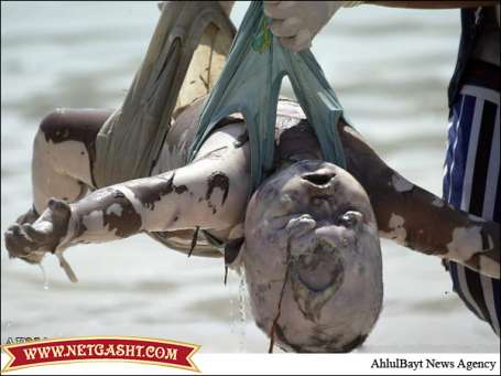 عکس های وحشتناک از قتل، سوزاندن، سربریدن و نسل کشی و کشتار مسلمانان میانمار عکس های وحشتناک از قتل، سوزاندن، سربریدن و نسل کشی و کشتار مسلمانان میانمار