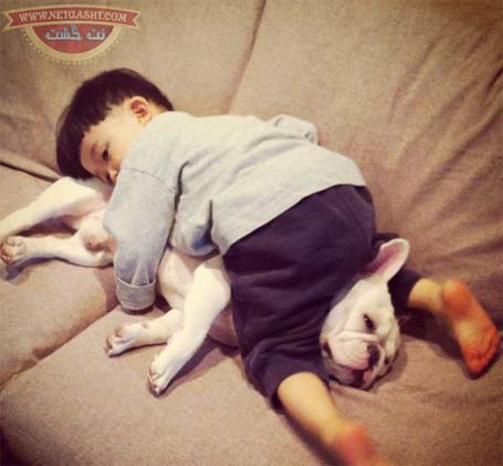 همنشینی زیبای سگ و کودک