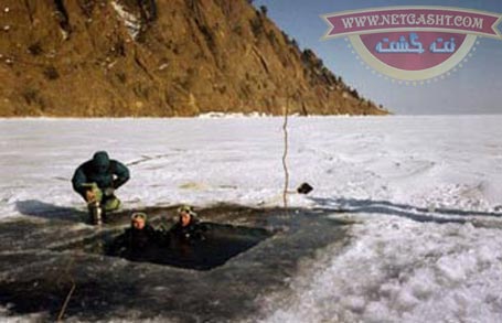 رسم عجیب شیرجه در آب یخ در آغاز سال نو روسی+ عکس