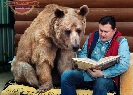 دوستی خاله خرسه، زندگی زوج روسی با یک خرس غول پیکر