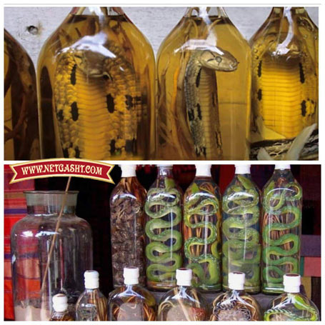 شراب مار وعقرب از جمله نوشیدنی هایست که در کشورهای جنوب شرق آسیا مثل ویتنام میتوان یافت