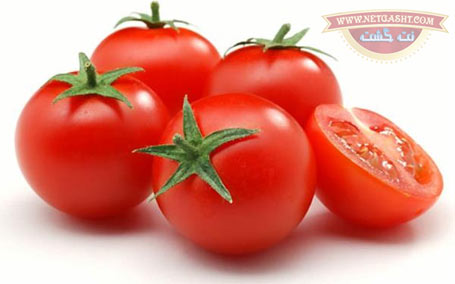 سم گوجه فرنگی و مضرات حاصل از مصرف گوجه فرنگی 